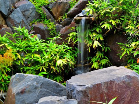 Bachlauf anlegen Anleitung für Ihren Wasserlauf im Garten so gelingt's!