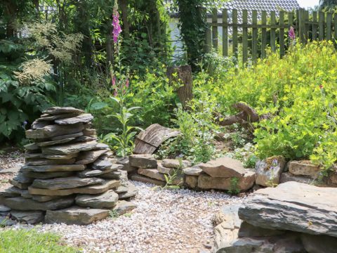 Naturnaher Garten Lebensraum für Insekten und Co. im Ökogarten